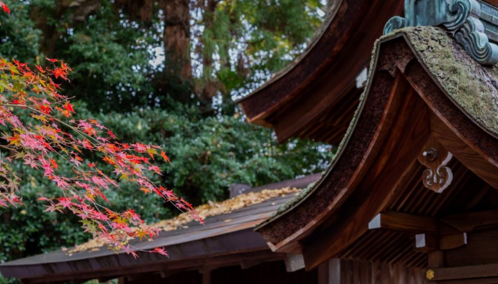 永磁變頻空壓機(jī)